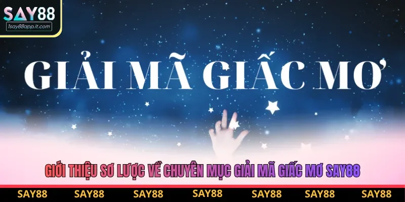 Giới thiệu sơ lược về chuyên mục giải mã giấc mơ say88